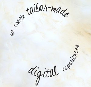 Website Development Agency